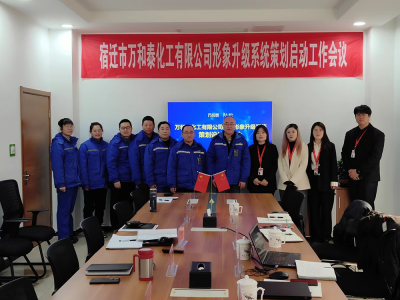 成立公司形象升级系统策划委员会